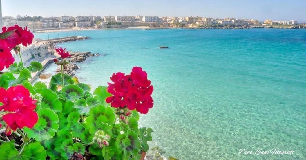 Carpe Diem Otranto Apartment 5 Posti Letto エクステリア 写真