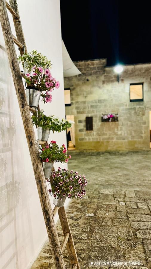 Carpe Diem Otranto Apartment 5 Posti Letto エクステリア 写真